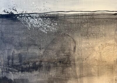 Paisaje de cenizas III Paulí Josa Fenés, Animaldepintor