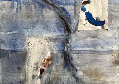 Sutge Paulí Josa Animaldepintor