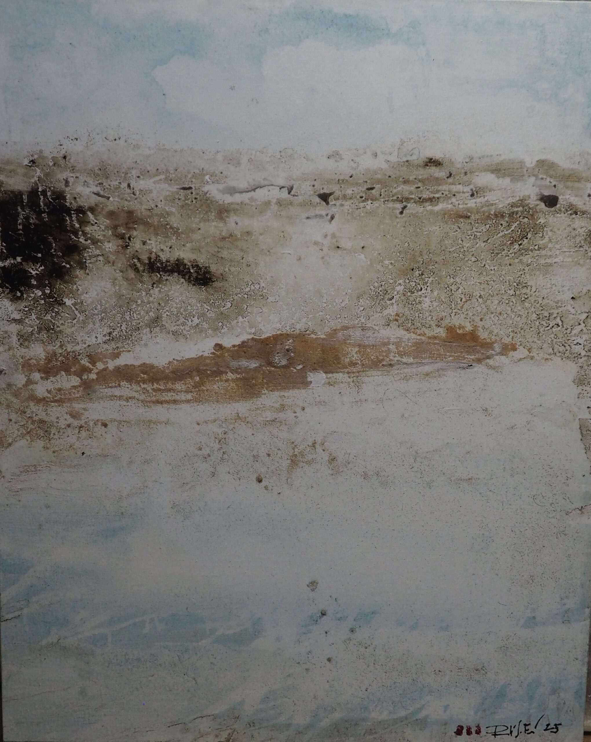 Desert de Molt. Animaldepintor