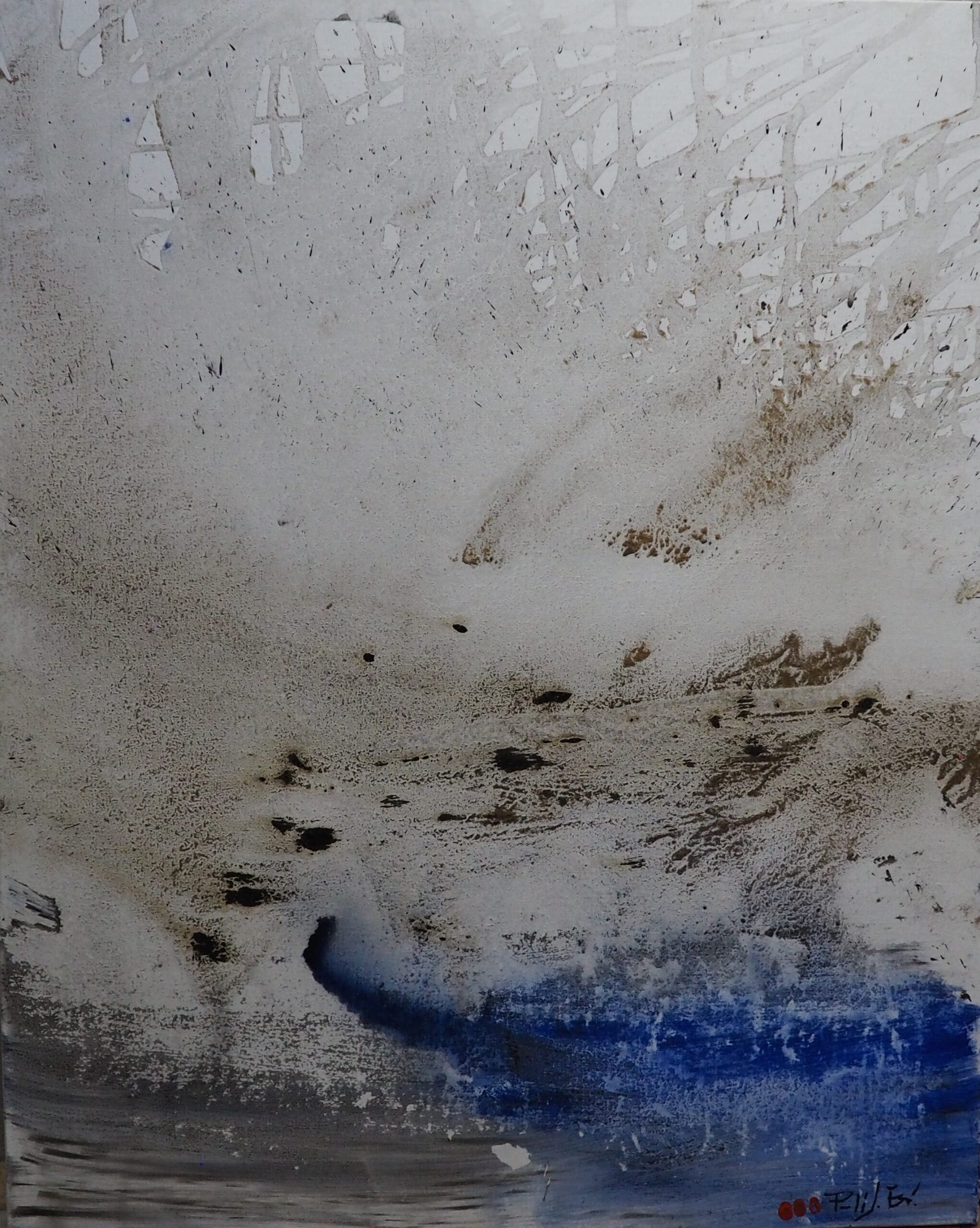 Llum blava. Animaldepintor