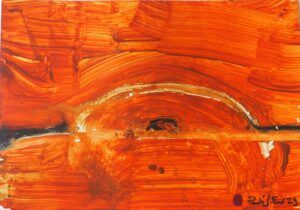 Lum i aigua dins la font Animaldepintor