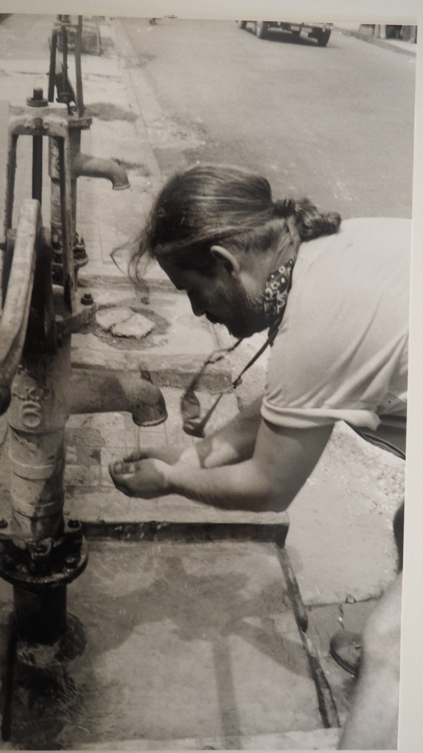 Paulí Josa i Fenés. Animaldepintor