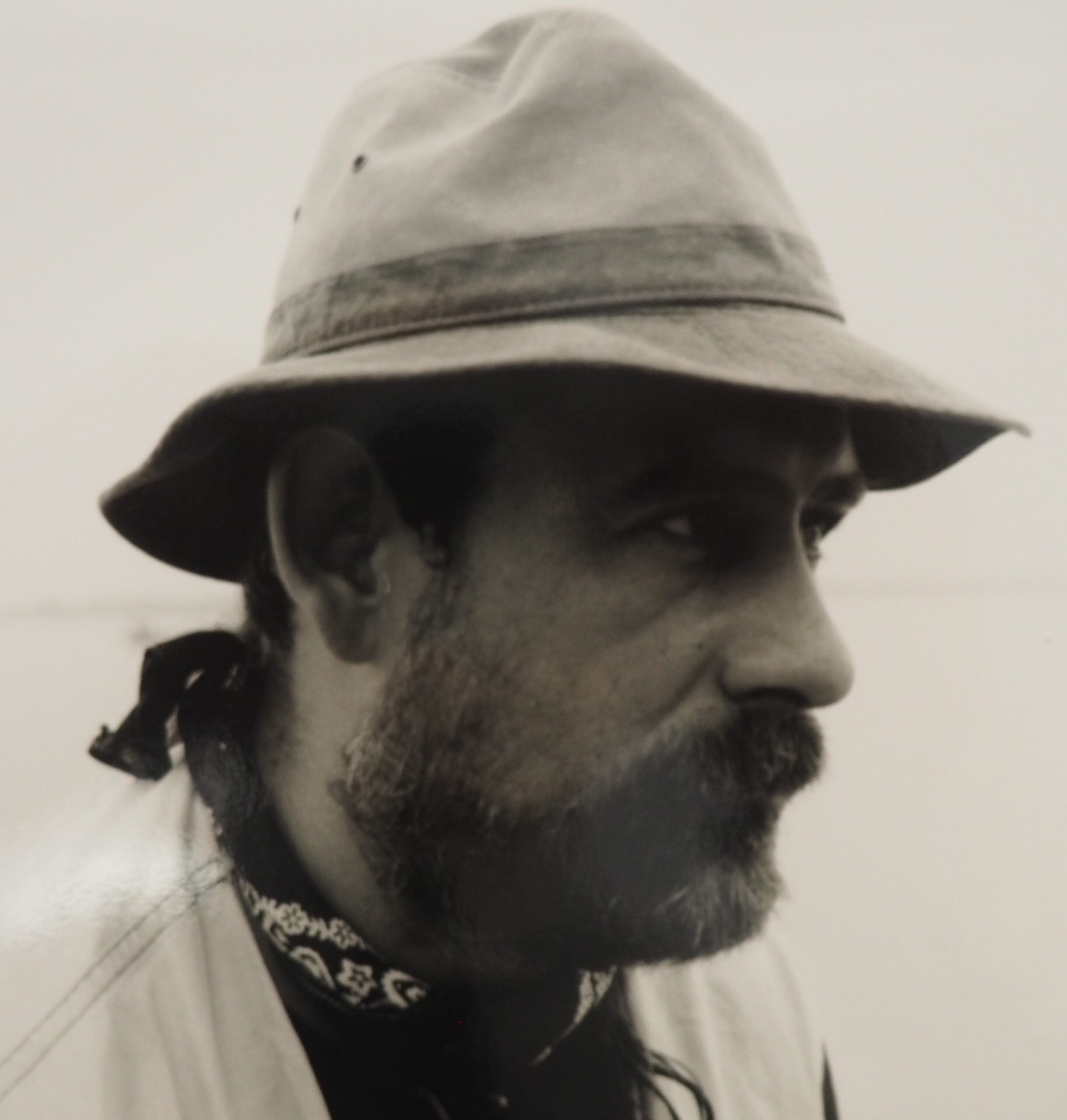 Paulí Josa Fenés. Animaldepintor