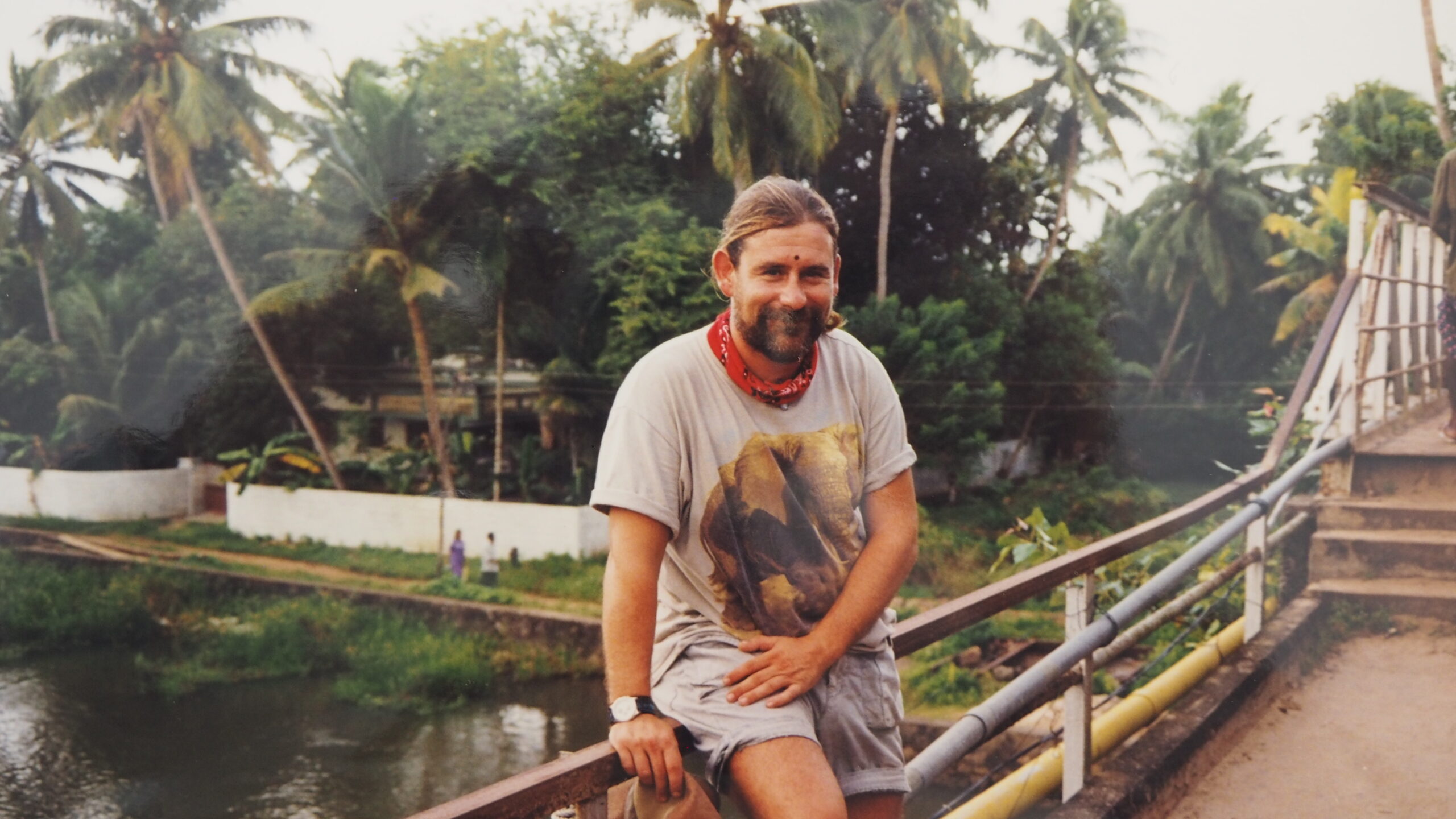 Paulí Josa Fenés. Animaldepintor