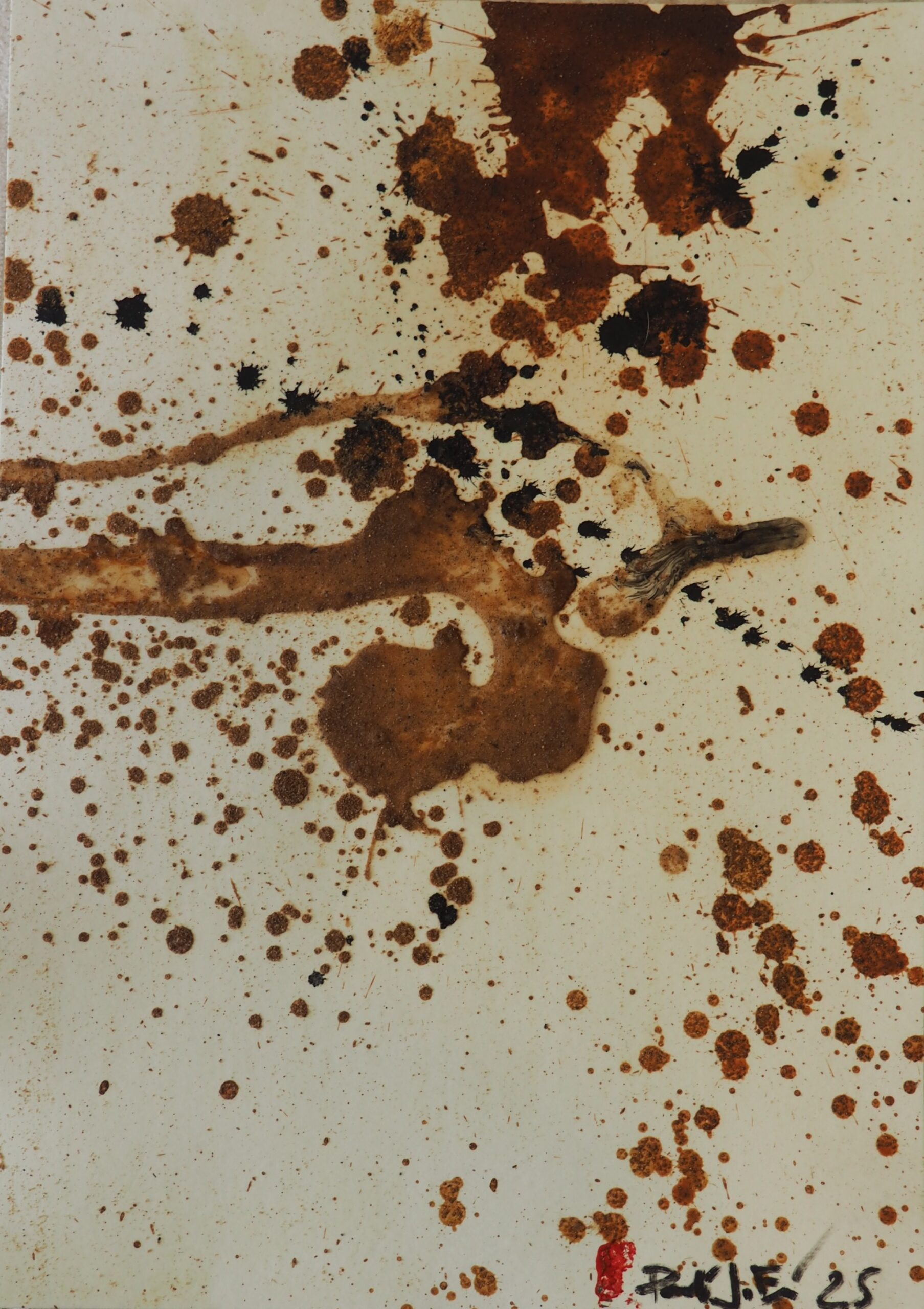 Gest de sorra, animaldepintor