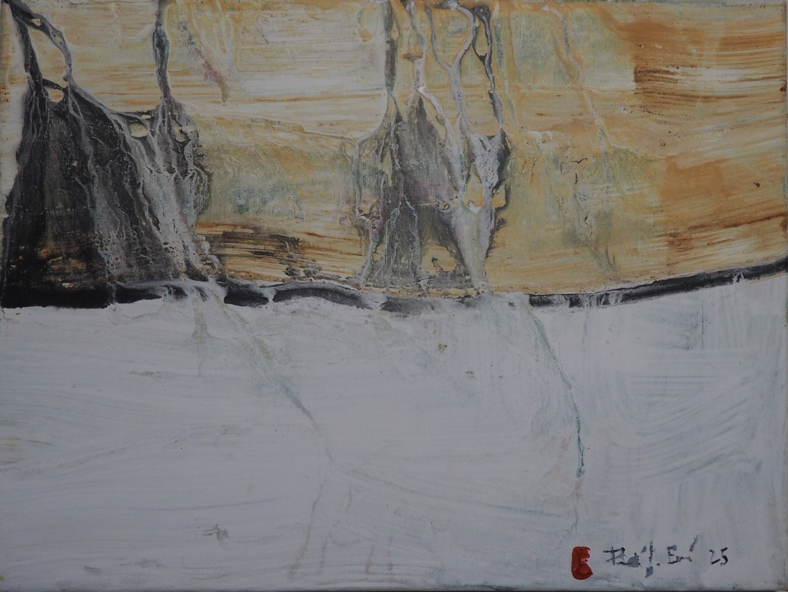 Paisatge d'ombres. Animaldepintor