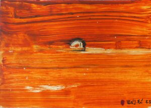 Paisatge i llum blanca. Animaldepintor