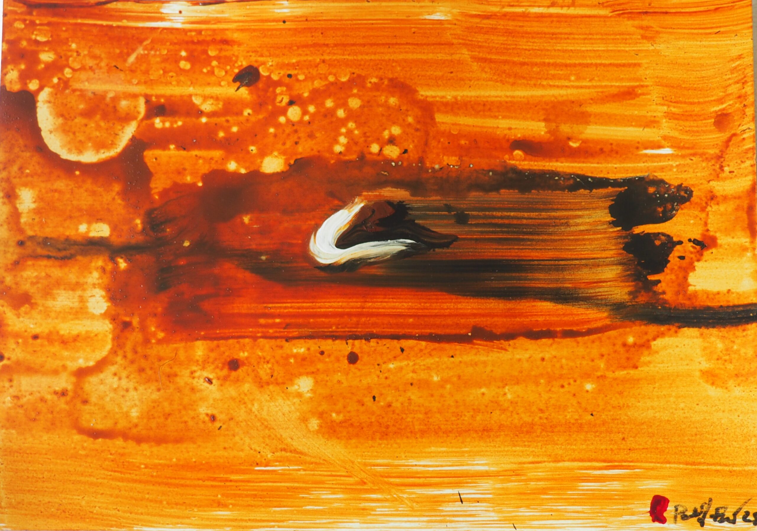 Paisatge negre. Animaldepintor