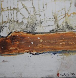 Teranyines Animaldepintor